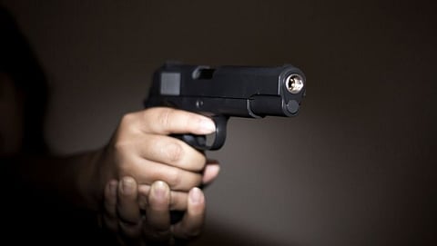 Gun
