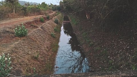 Tilari Canal