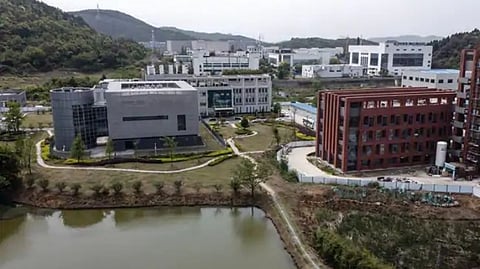 Wuhan Lab