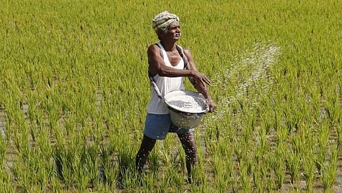 Farmer
