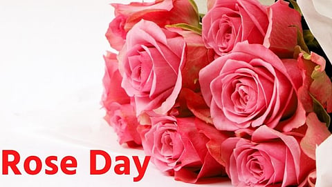 Valentine's Week