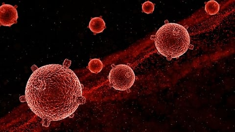 CoronaVirus