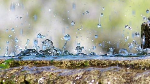 Catch the Rain