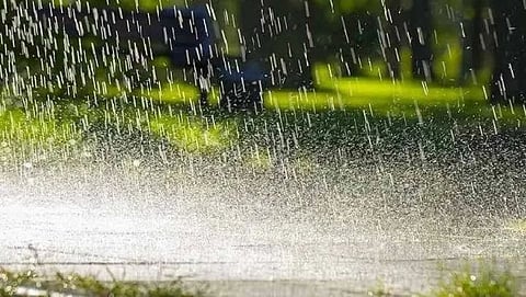Rain