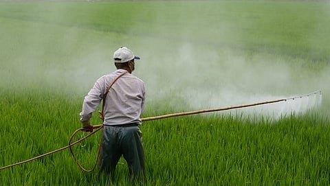 Farmers