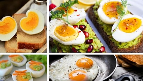 Egg