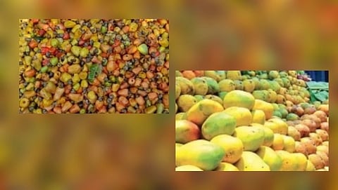 Mango and Cashew