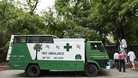 Tree Ambulance
