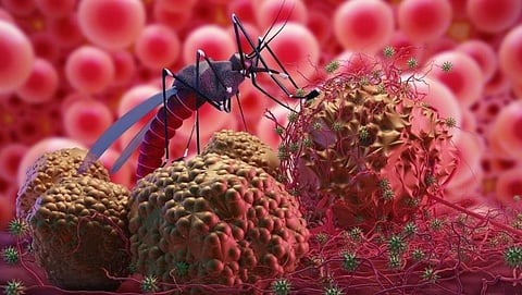 Malaria