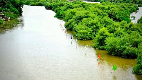 Sal River