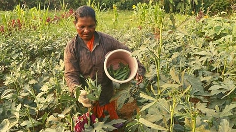 women's day 2022