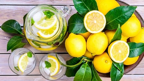 lemon