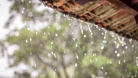 Rain