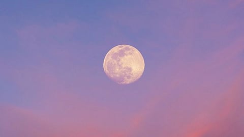 Pink Moon