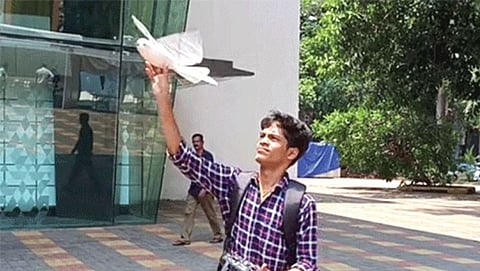 Bird Drone