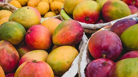 Mango