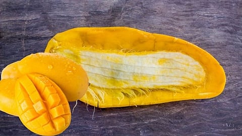 Mango | Mango Seeds