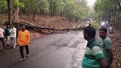 Rain with strong winds in the Sattari valpoi Honda road closed