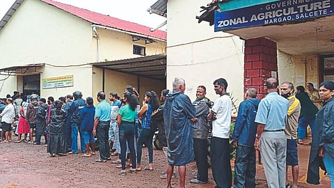 Rush in Madgaon to Purchase Fertilizers