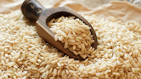 Brown Rice Benefits | How to Loose Weight