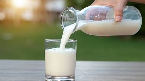 milk supply in Goa