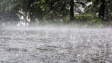 people face inconvenience at Pernem market due to heavy rain