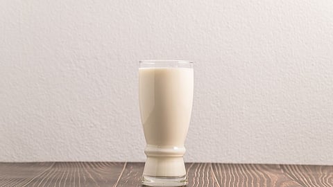 World Milk Day 2022