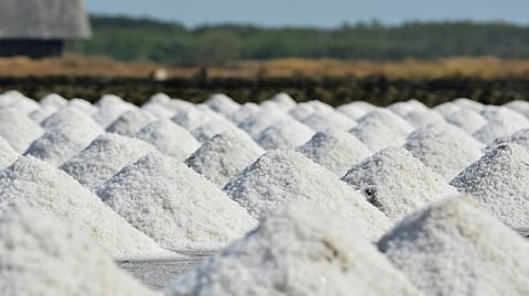 salt