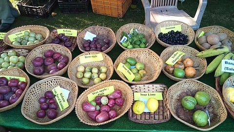 Goa Fruit Festival| Goa Culture |Goa Tourism