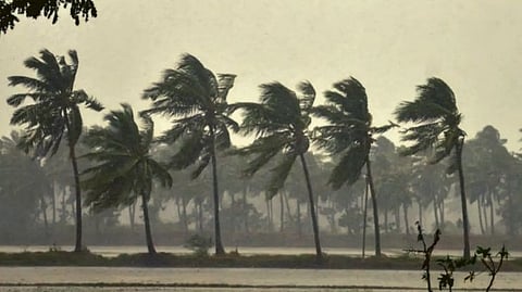 Goa Rain Update