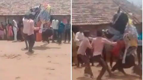 groom fell from horse back in own wedding gujarat marriage video