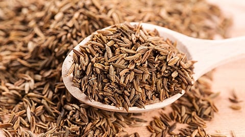 Cumin seeds