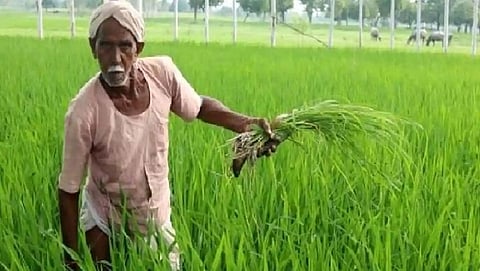 PM Kisaan