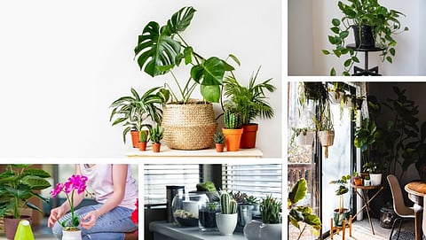 Home Decor Ideas
