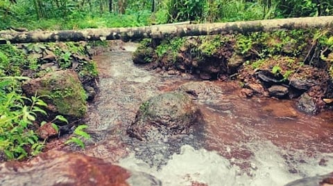Mopa River Water