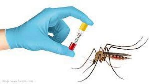 Dengue