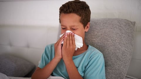 Tomato flu