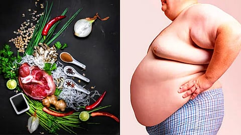 how to burn belly fat foods that can help reduce cravings foods to burn body fat and calories tlif