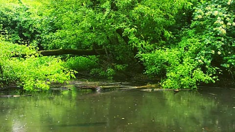 Lake