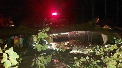 Goa Rain Accident