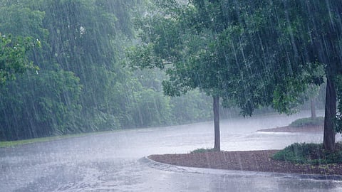 Monsoon Update