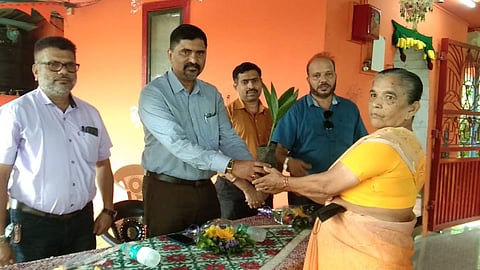 Tree plantation