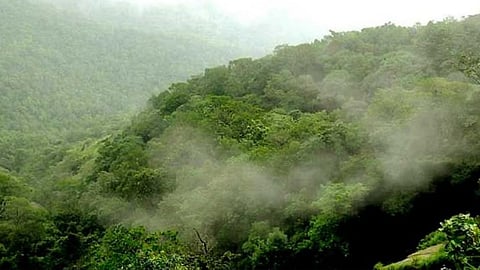 Goa Environment