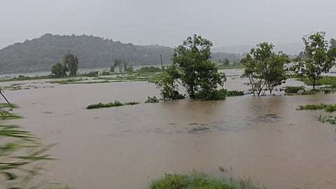 Rain News