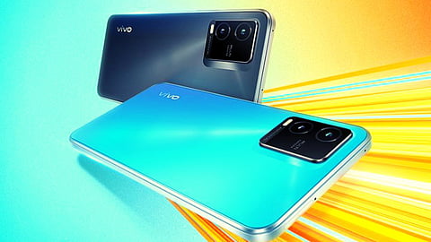 Vivo