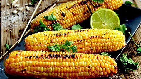 Maize in mansoon