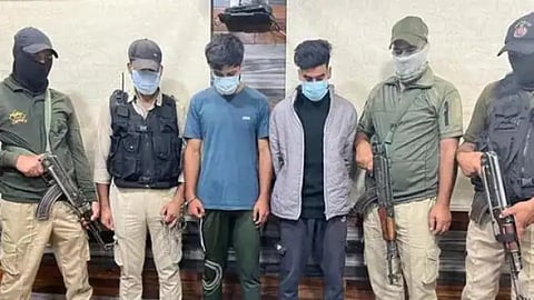 Terrorists