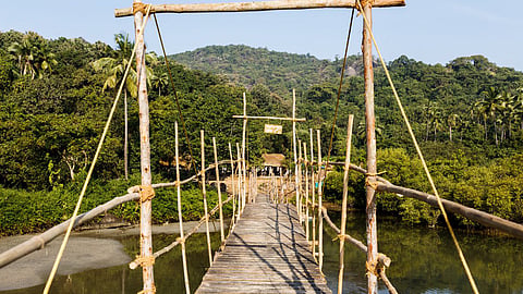 Bridge