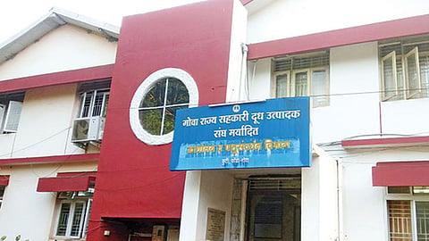Goa Dairy