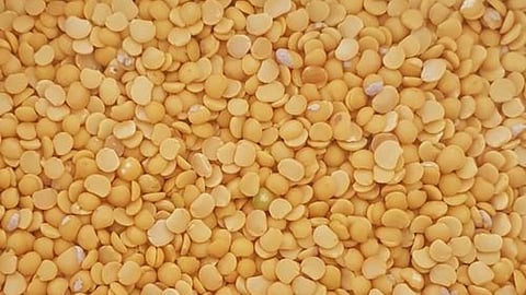 Toordal Wasted by Goa Government